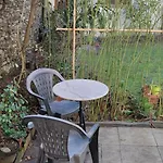 Oasis De Verdure En Centre Nantes