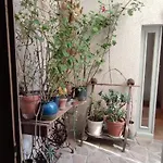 Oasis De Verdure En Centre Appartement