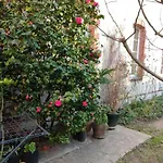 Oasis De Verdure En Centre Appartement *