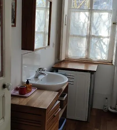 Oasis De Verdure En Centre * Nantes