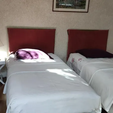 Oasis De Verdure En Centre Nantes