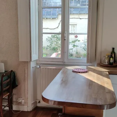 Oasis De Verdure En Centre Nantes