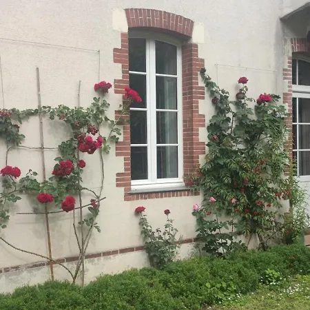 Oasis De Verdure En Centre *