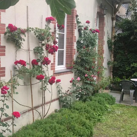 Oasis De Verdure En Centre *