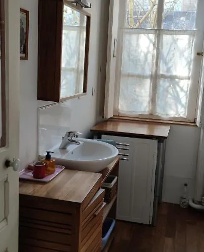 Oasis De Verdure En Centre * Nantes