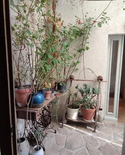 Oasis De Verdure En Centre Apartment