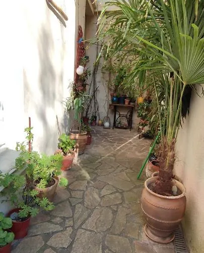 Oasis De Verdure En Centre Apartment Nantes