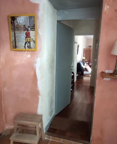 Oasis De Verdure En Centre Nantes