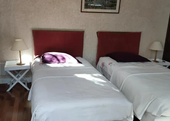 Oasis De Verdure En Centre Nantes