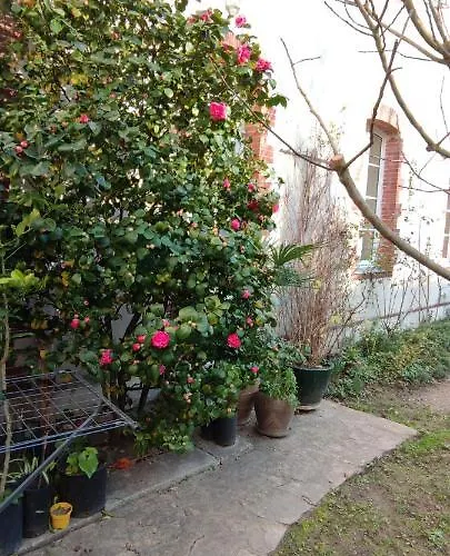 Oasis De Verdure En Centre Apartment *