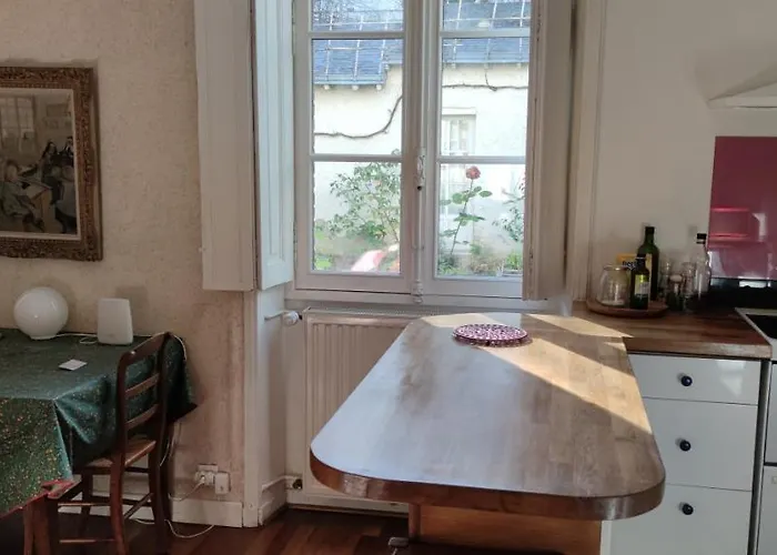 Oasis De Verdure En Centre Nantes