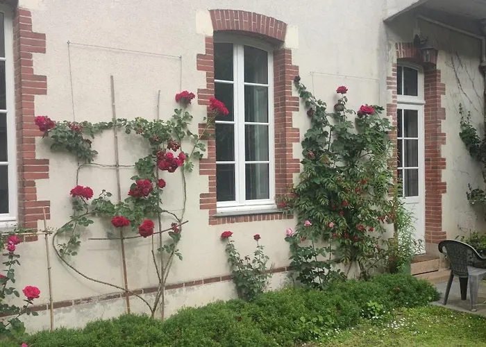 Oasis De Verdure En Centre *