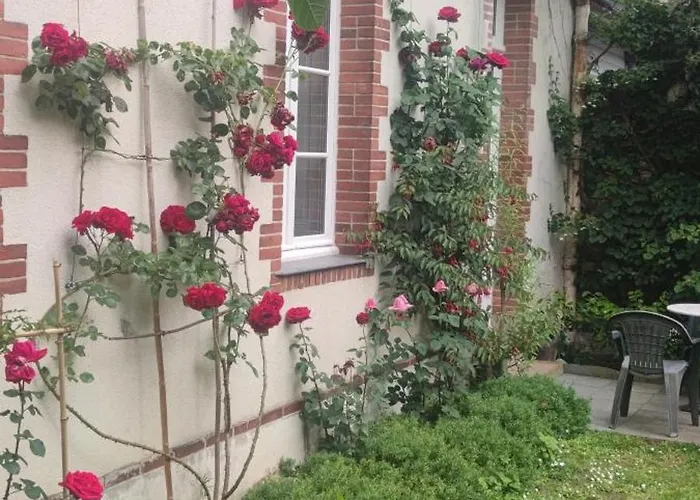 Oasis De Verdure En Centre *