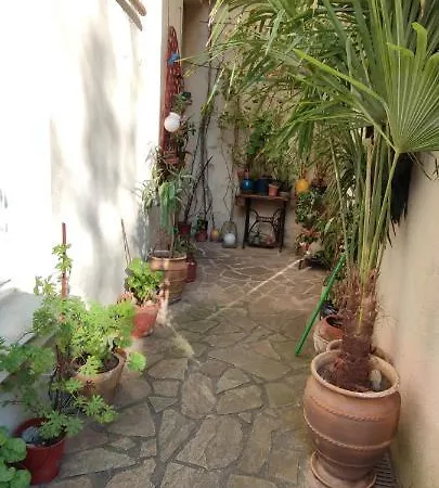 Oasis De Verdure En Centre Daire Nantes