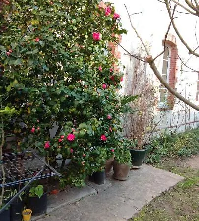 Oasis De Verdure En Centre Daire *